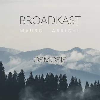 Broadkast (Osmosis) by Mauro Arrighi