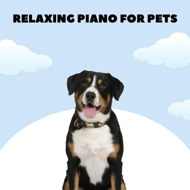 Soothing Dog Music