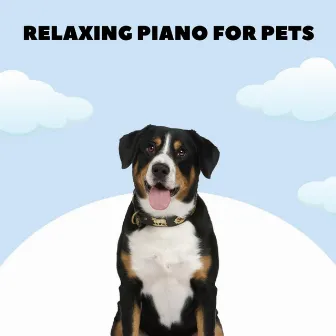 Doggy Lullabies by Relaxing Piano For Pets