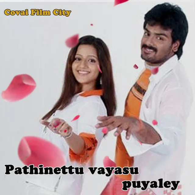 Pathinettu Vayasu Puyaley