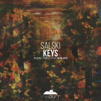 Keys by Salski