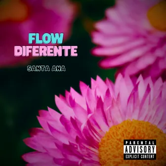 Flow Diferente by SANTA ANA