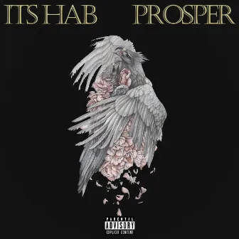 Prosper by ITS HAB