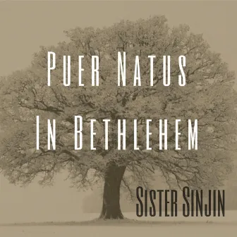 Puer Natus in Bethlehem by Sister Sinjin