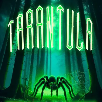 Tarantula by Wikama Mc