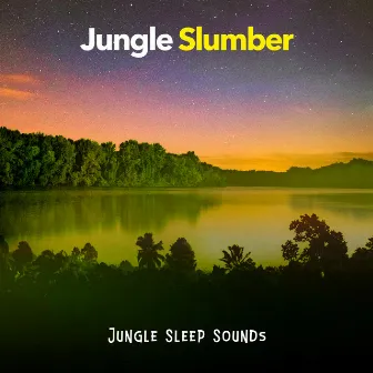 Jungle Slumber by Jungle Sleep Sounds