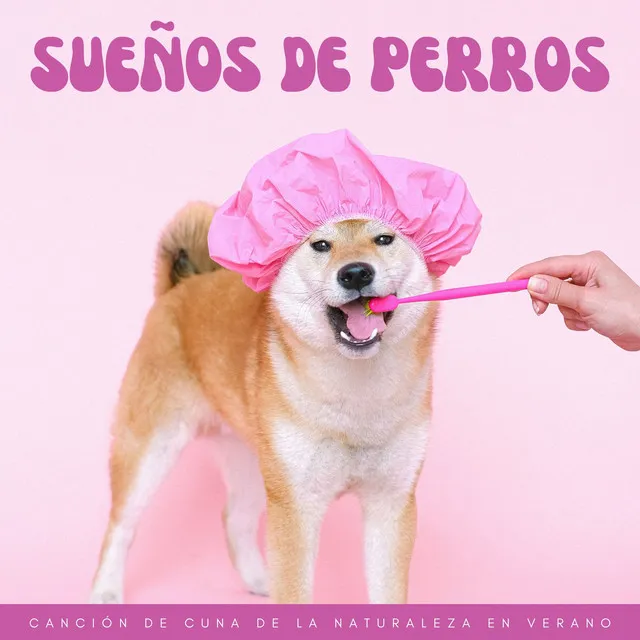 Sueños De Perros: Canción De Cuna De La Naturaleza En Verano