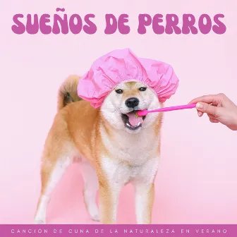 Sueños De Perros: Canción De Cuna De La Naturaleza En Verano by Música para calmar perros