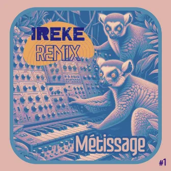 Métissage (Remix) by Ireke