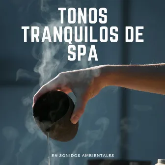 Tonos Tranquilos De Spa En Sonidos Ambientales by Instrumental de jazz suave