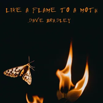 Like a Flame to a Moth by Dave Bradley