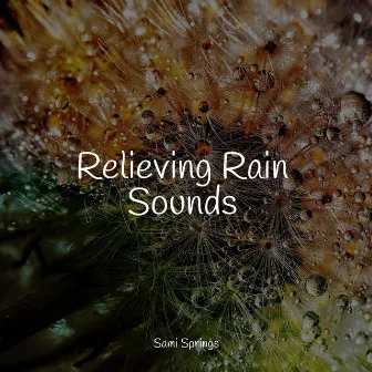 Relieving Rain Sounds by Naturaleza Sonidos