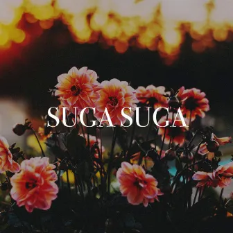 Suga Suga by Haper Road