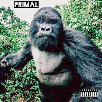 Primal by Andre Austin