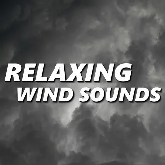 Relaxing Wind Sounds by Wind Sounds