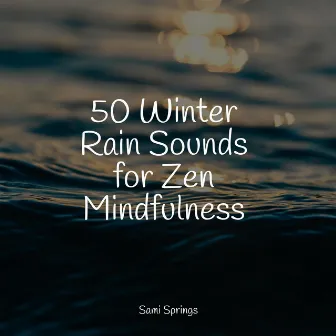 50 Winter Rain Sounds for Zen Mindfulness by Lullaby Rain