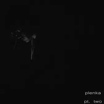 Pt. Two by plenka