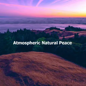 Atmospheric Natural Peace by Wilderness Recorders