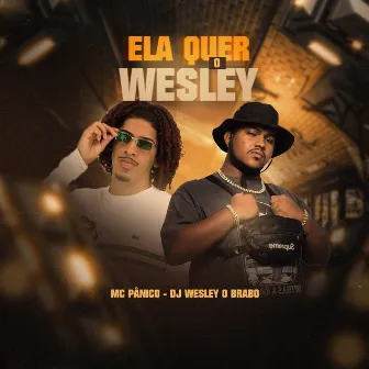 Ela Quer o Wesley by DJ WESLEY O BRABO