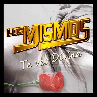 Te Ves Divina by Los Mismos