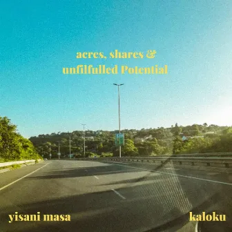 acres, shares & unfulfilled Potential by Yisani Masa