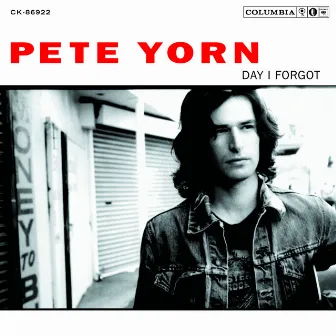 Day I Forgot by Pete Yorn