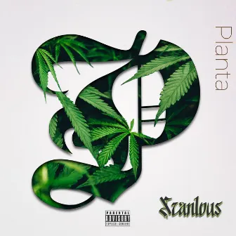 Planta by Scanlous