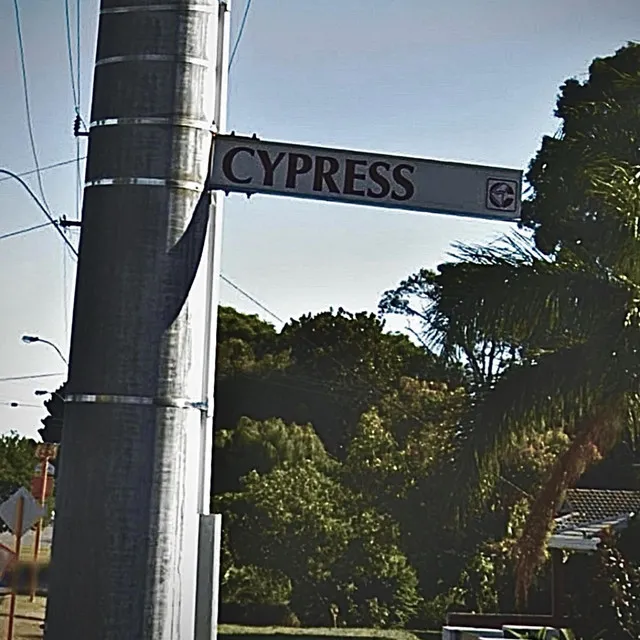 Cypress