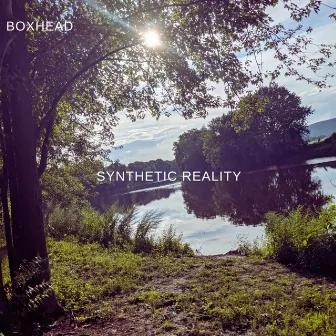 Synthetic Reality by Boxhead