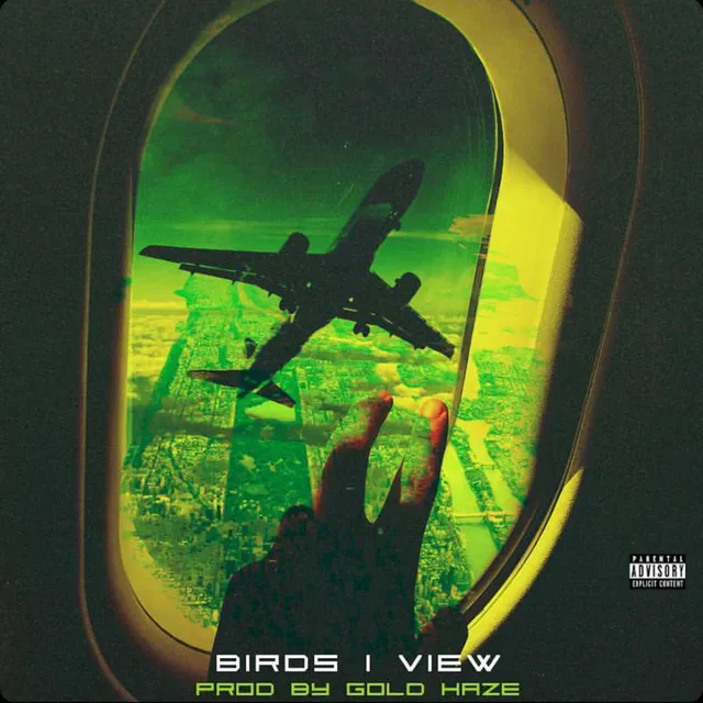 Birds I View