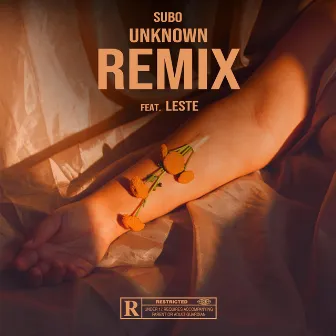 Unknown (Leste Remix) by Subo SKL