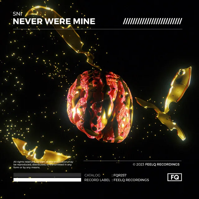 Never Were Mine