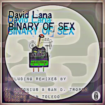 Binary of Sex by David Lana