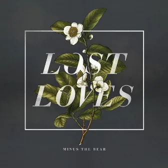 Lost Loves by Minus the Bear