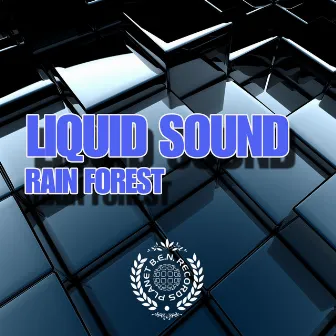 Rain Forest by Liquid Sound