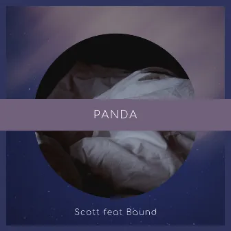 Panda by Scott