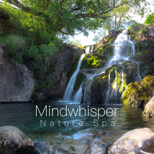 Mindwhisper