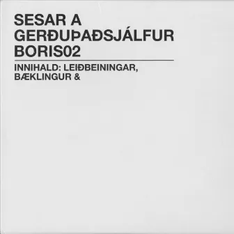 Gerðuþaðsjálfur by Sesar A