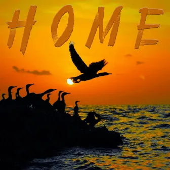 Home by Lady Albatross