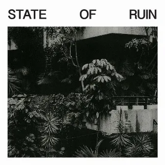 State Of Ruin by Silk Road Assassins