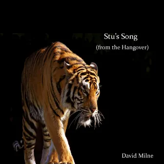 Stu's Song (From the Hangover) by David Milne