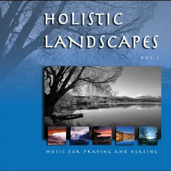 Holistic Landscapes, Vol. I by Renato Vizuet