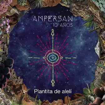 Plantita de Alelí (En Vivo) by Ampersan