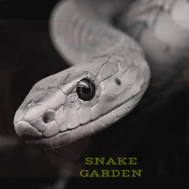 SNAKE GARDEN