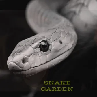 SNAKE GARDEN by Large Amount