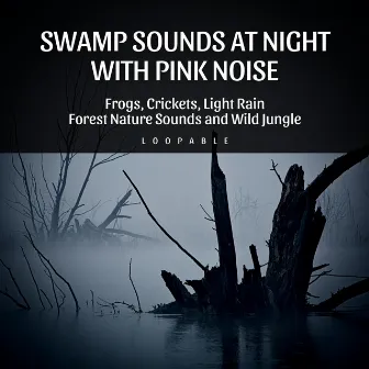 Swamp Sounds at Night with Pink Noise - Frogs, Crickets, Light Rain, Forest Nature Sounds and Wild Jungle, Loopable by Frog Sounds Channel