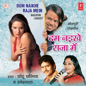 Dum Naikhe Raja Mein by Sneh Lata