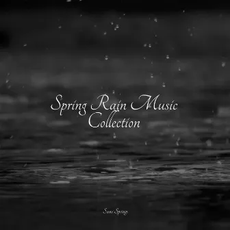 Spring Rain Music Collection by Massage Therapy Music