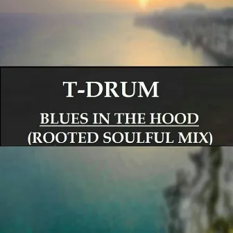 Blues In The Hood (Rooted Soulful Mix) by T-Drum