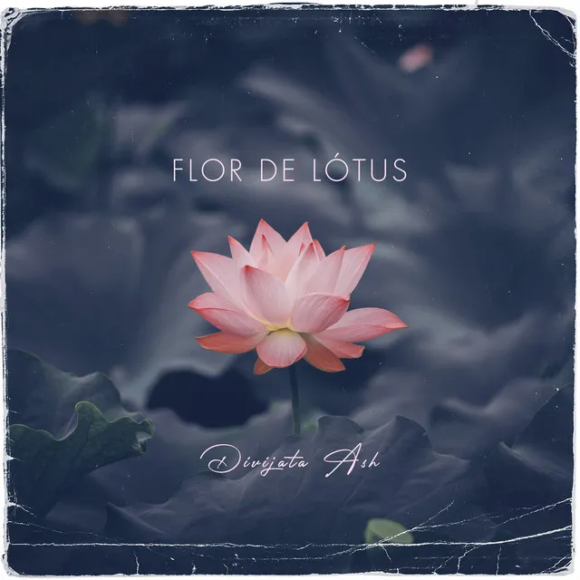 Flor de Lótus